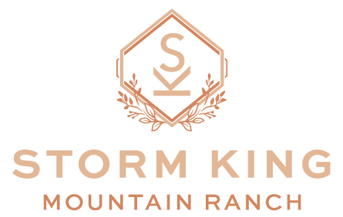 Logo for Storm King