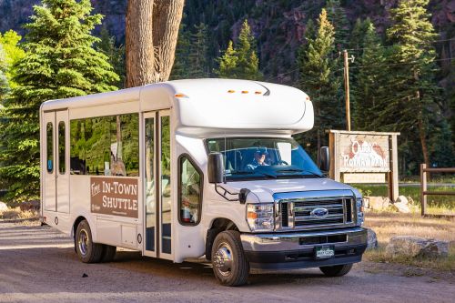 short white bus parked in wooded area