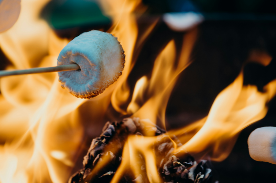marshmallow roasting over fire