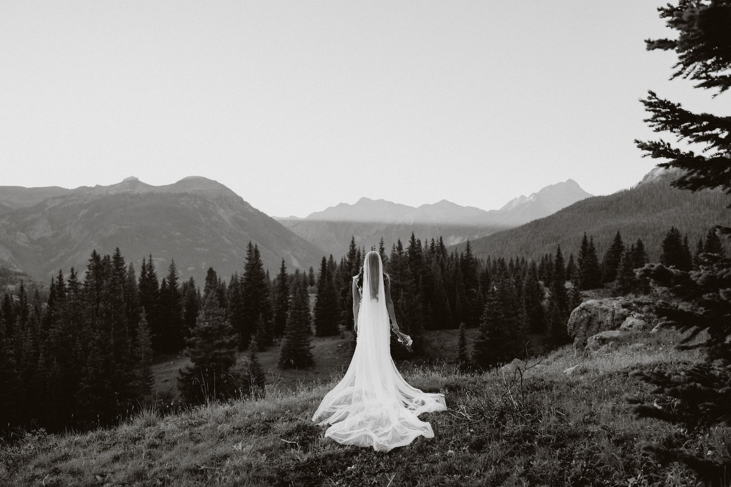 Bride looking out at the mountains with long veil