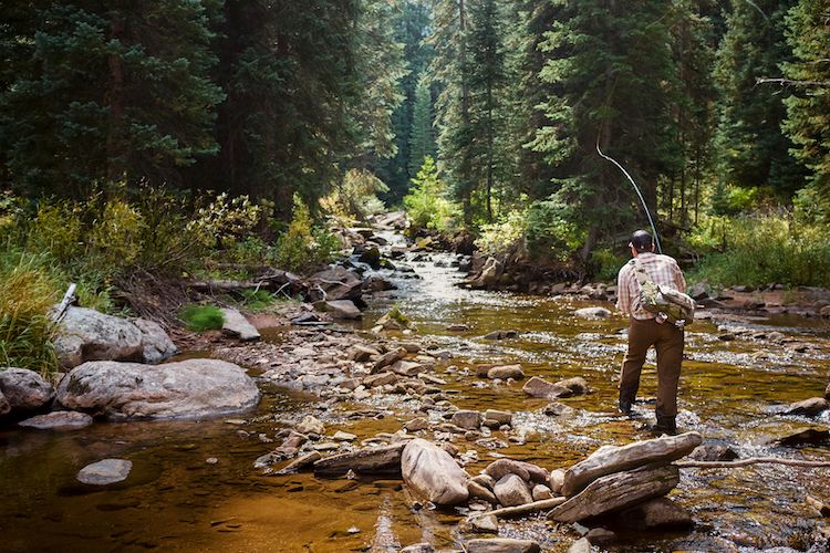 man fly fishing in uncompahgre river in san juan mountains