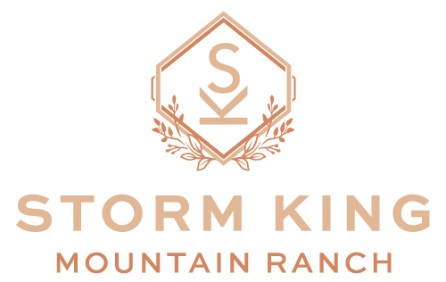 Logo for Storm King
